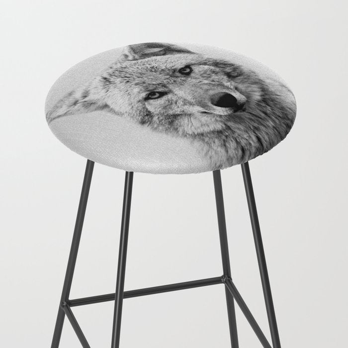 Coyote - Black & White Stool Gallery Image 2