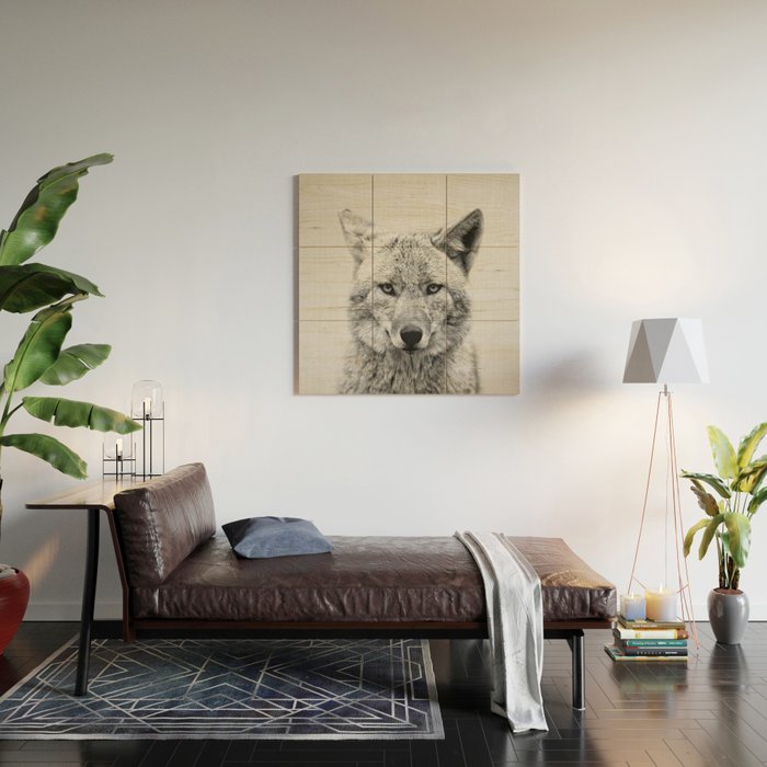 Coyote - Black & White Wood Wall Art Gallery Image 2