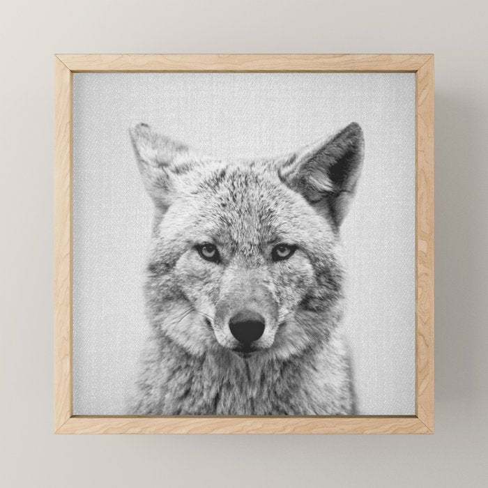 Coyote - Black & White Mini Art Print Gallery Image 1