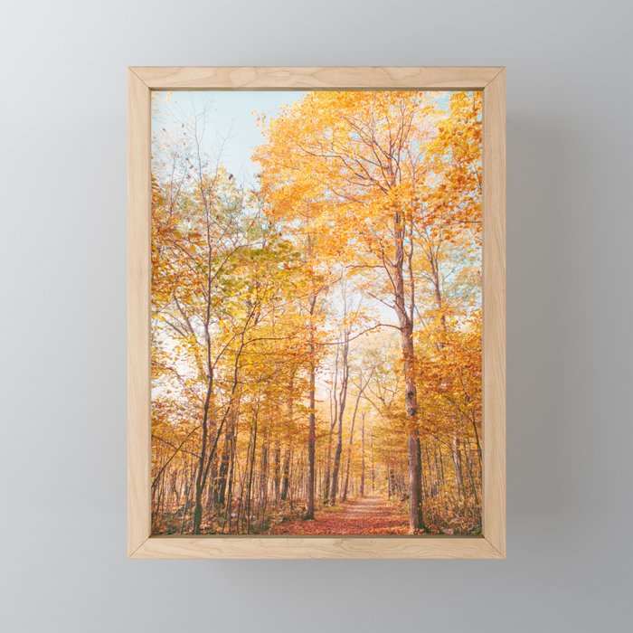 Autumn Glory - Nature, Fall Forest Landscape Photography Mini Art Print Gallery Image 1