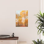 Autumn Glory - Nature, Fall Forest Landscape Photography Poster Gallery Image 2