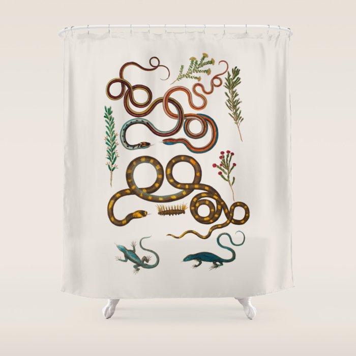 Albertus Seba Snakes And Lizards Shower Curtain Gallery Image 1