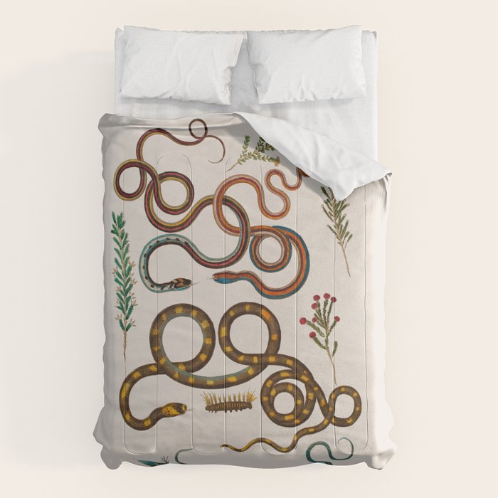 Albertus Seba Snakes And Lizards Comforter Gallery Image 6