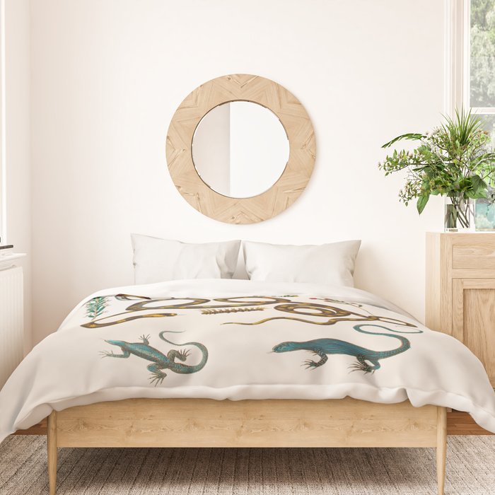 Albertus Seba Snakes And Lizards Duvet Cover Gallery Image 3
