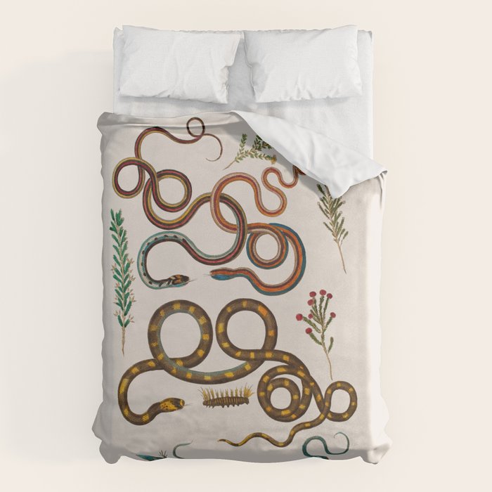 Albertus Seba Snakes And Lizards Duvet Cover Gallery Image 6