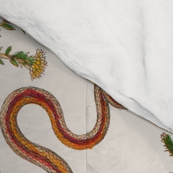Albertus Seba Snakes And Lizards Comforter Gallery Image 4