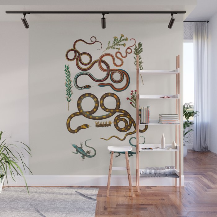 Albertus Seba Snakes And Lizards Wall Mural Gallery Image 1