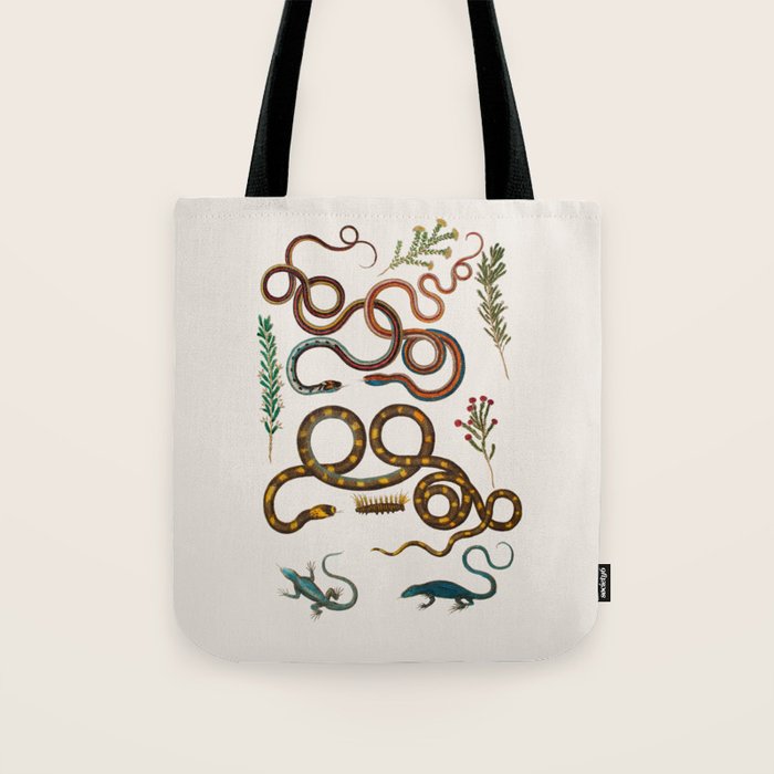 Albertus Seba Snakes And Lizards Tote Bag Gallery Image 1