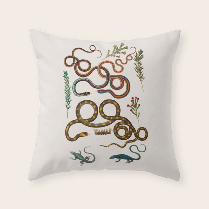 Albertus Seba Snakes And Lizards Throw Pillow Gallery Image 1