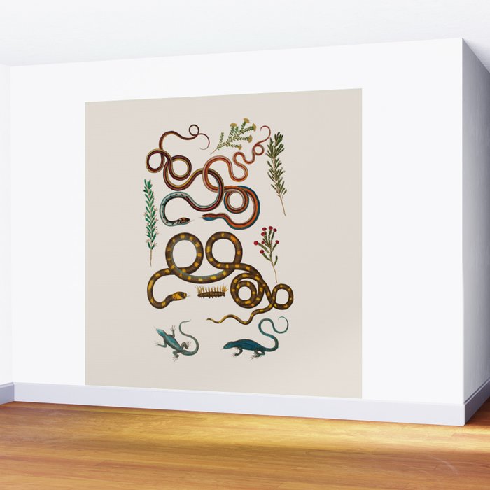 Albertus Seba Snakes And Lizards Wall Mural Gallery Image 2