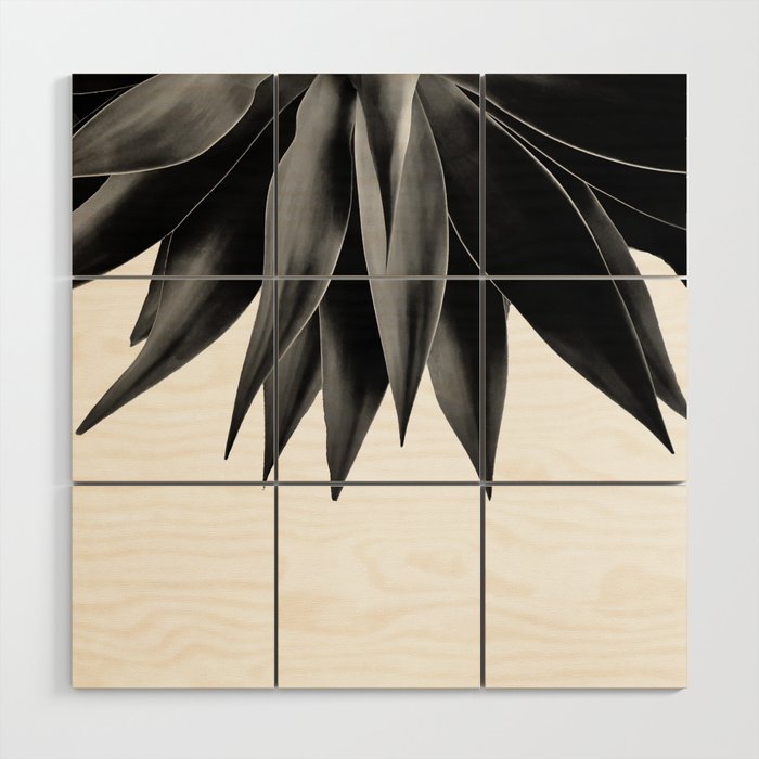 Agave fringe - noir Wood Wall Art Gallery Image 1