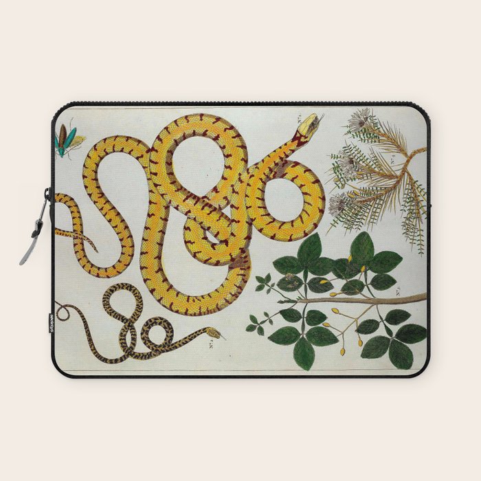 Yellow Snakes Seba Albertus Laptop Sleeve Gallery Image 1