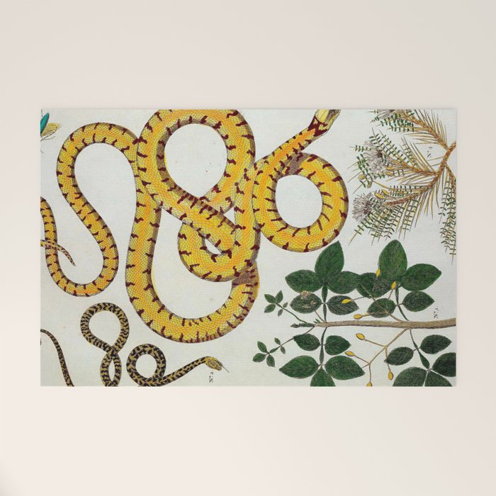 Yellow Snakes Seba Albertus Welcome Mat Gallery Image 1