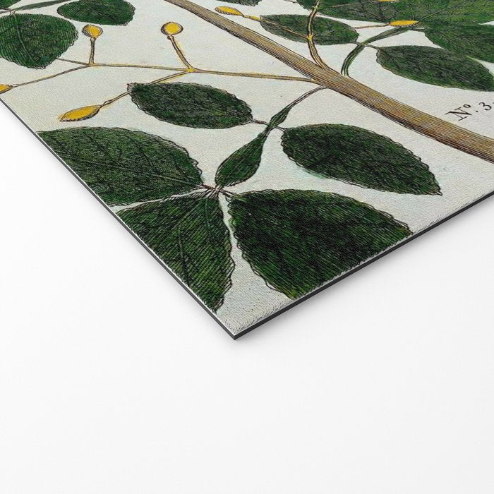 Yellow Snakes Seba Albertus Welcome Mat Gallery Image 2