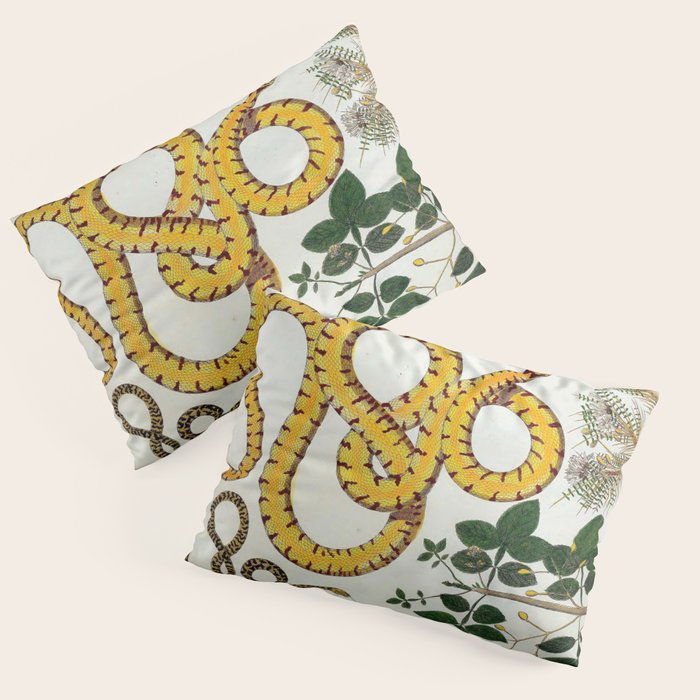 Yellow Snakes Seba Albertus Pillow Sham Gallery Image 3