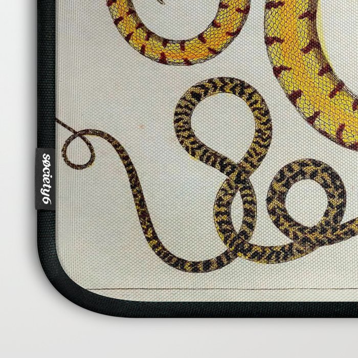 Yellow Snakes Seba Albertus Laptop Sleeve Gallery Image 3