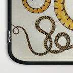 Yellow Snakes Seba Albertus Laptop Sleeve Gallery Image 3