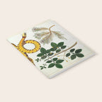 Yellow Snakes Seba Albertus Notebook Gallery Image 2