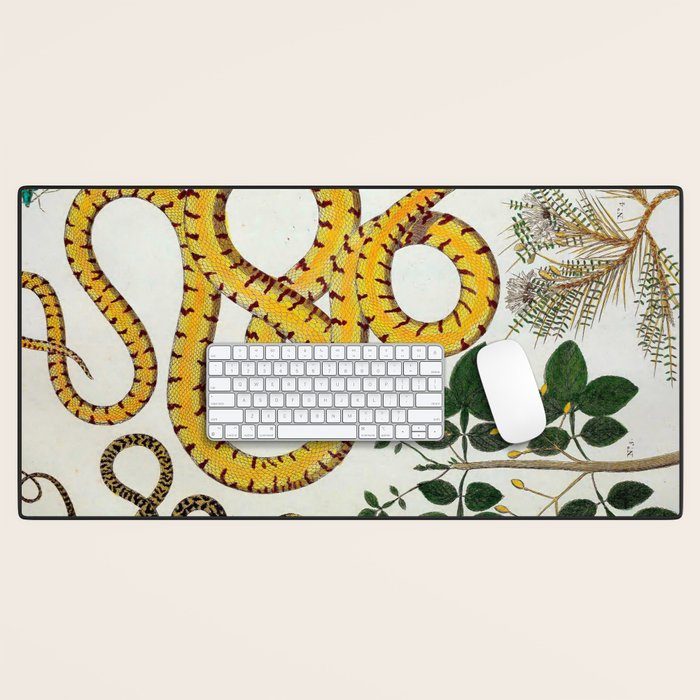 Yellow Snakes Seba Albertus Desk Mat Gallery Image 1
