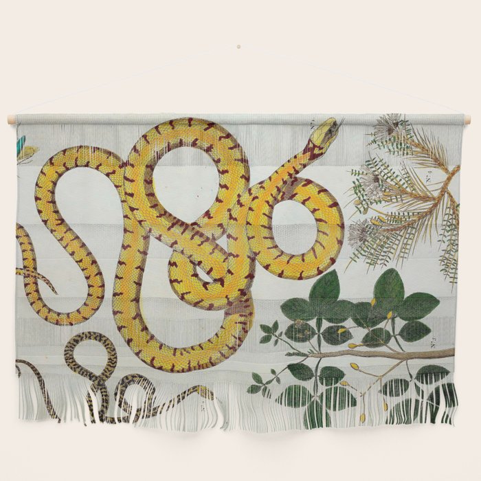 Yellow Snakes Seba Albertus Wall Hanging Gallery Image 1