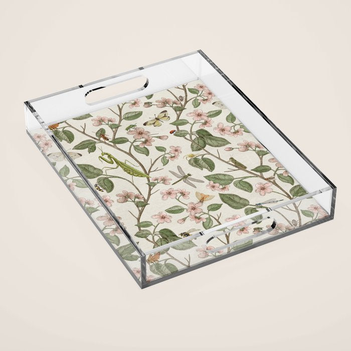 Insects of the Pacific Northwest Acrylic Tray Gallery Image 1
