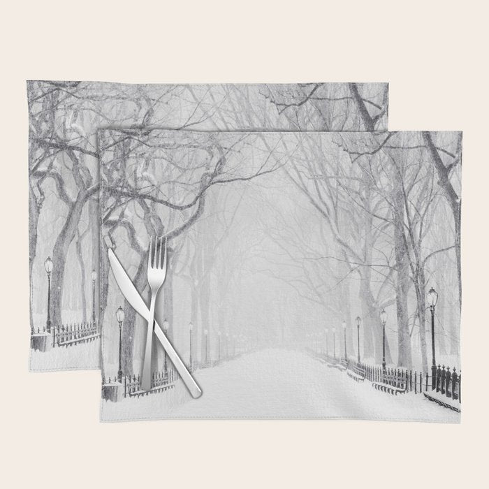Snowy Park Placemat Gallery Image 1