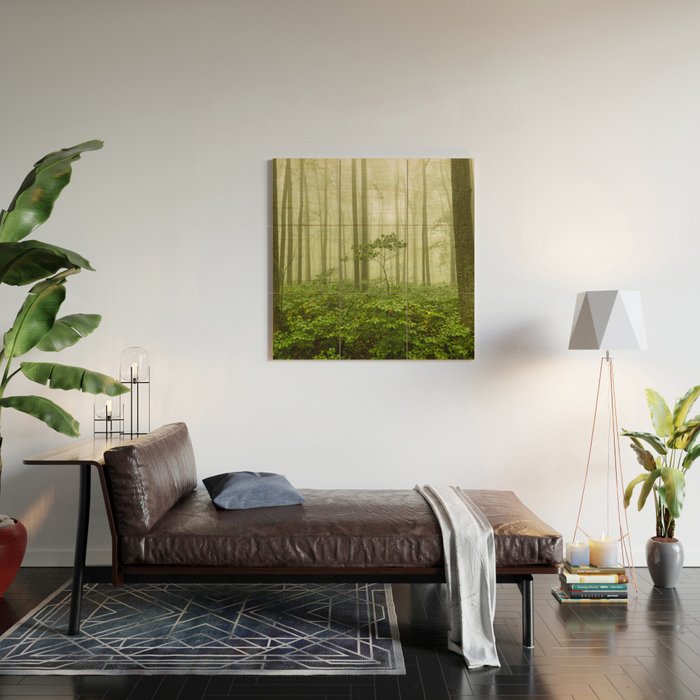 Dreaming of Appalachia - Nature Photography Digital Landscape Wood Wall Art Gallery Image 2