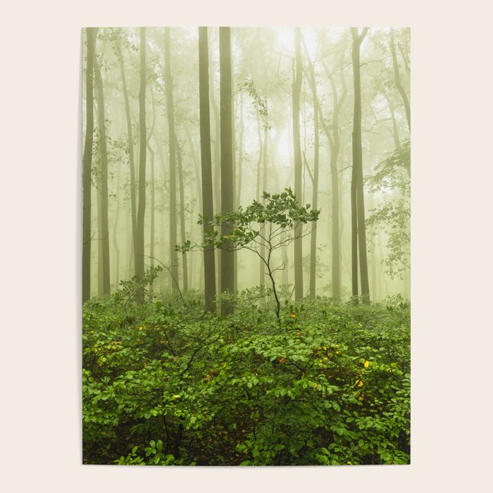Dreaming of Appalachia - Nature Photography Digital Landscape Poster Gallery Image 4