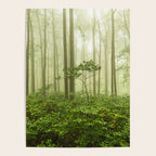 Dreaming of Appalachia - Nature Photography Digital Landscape Poster Gallery Image 4