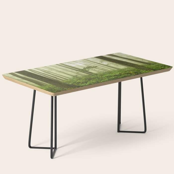 Dreaming of Appalachia - Nature Photography Digital Landscape Coffee Table Gallery Image 1