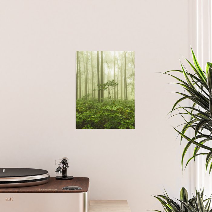Dreaming of Appalachia - Nature Photography Digital Landscape Poster Gallery Image 2