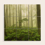 Dreaming of Appalachia - Nature Photography Digital Landscape Wood Wall Art Gallery Image 1