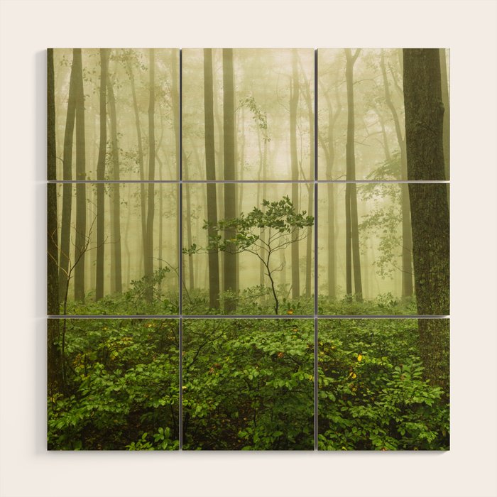 Dreaming of Appalachia - Nature Photography Digital Landscape Wood Wall Art Gallery Image 1