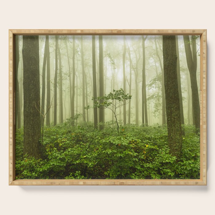 Dreaming of Appalachia - Nature Photography Digital Landscape Serving Tray Gallery Image 1