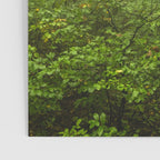 Dreaming of Appalachia - Nature Photography Digital Landscape Poster Gallery Image 3