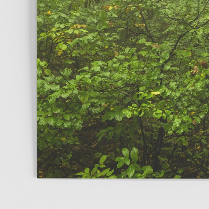 Dreaming of Appalachia - Nature Photography Digital Landscape Poster Gallery Image 3