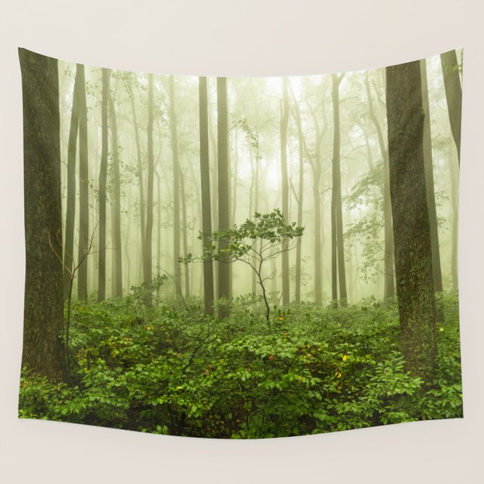 Dreaming of Appalachia - Nature Photography Digital Landscape Wall Tapestry Gallery Image 4