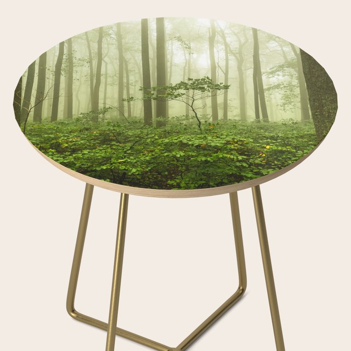 Dreaming of Appalachia - Nature Photography Digital Landscape Side Table Gallery Image 2