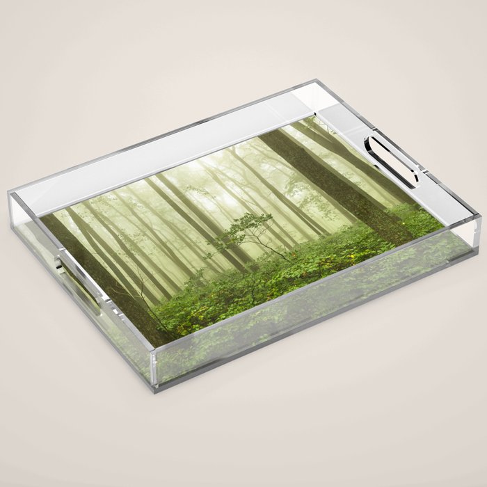 Dreaming of Appalachia - Nature Photography Digital Landscape Acrylic Tray Gallery Image 1