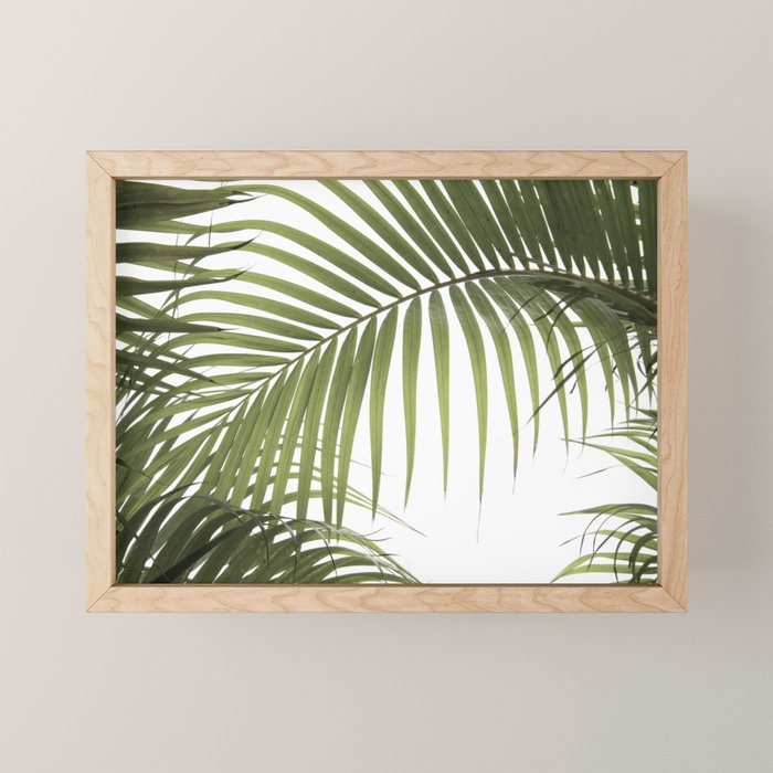 Palm Leaves Photo 01 Mini Art Print Gallery Image 1