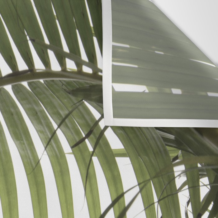 Palm Leaves Photo 01 Wall Tapestry Gallery Image 3