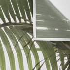 Palm Leaves Photo 01 Wall Tapestry Gallery Image 3