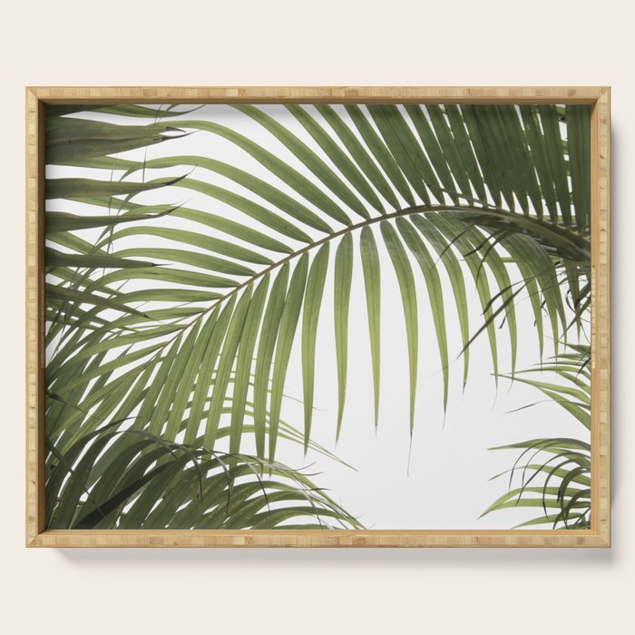 Palm Leaves Photo 01 Serving Tray Gallery Image 1