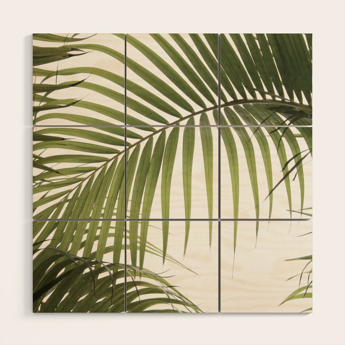 Palm Leaves Photo 01 Wood Wall Art Gallery Image 1