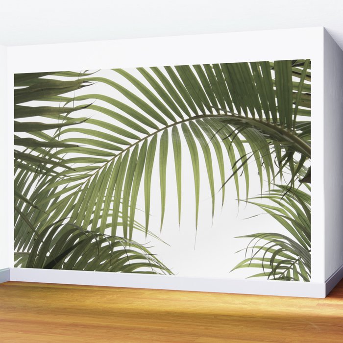 Palm Leaves Photo 01 Wall Mural Gallery Image 2