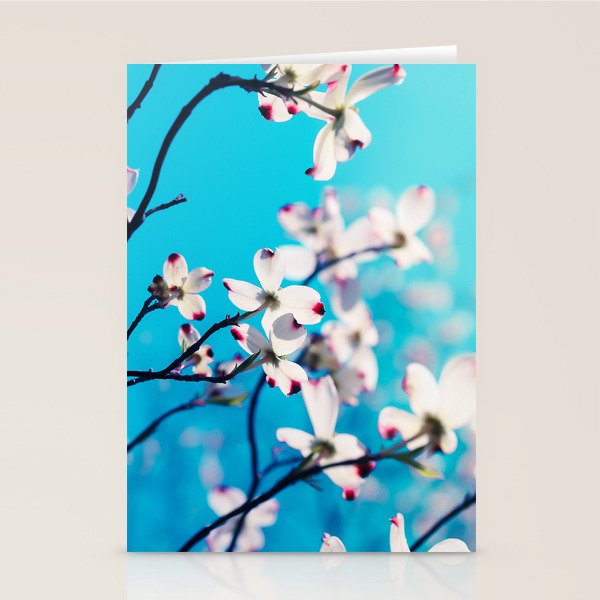 Youthful Folly Stationery Card Gallery Image 1