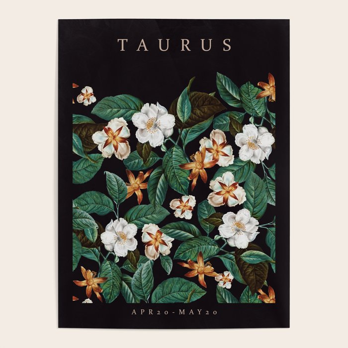 TAURUS II Poster Gallery Image 1