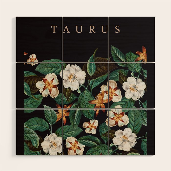TAURUS II Wood Wall Art Gallery Image 1