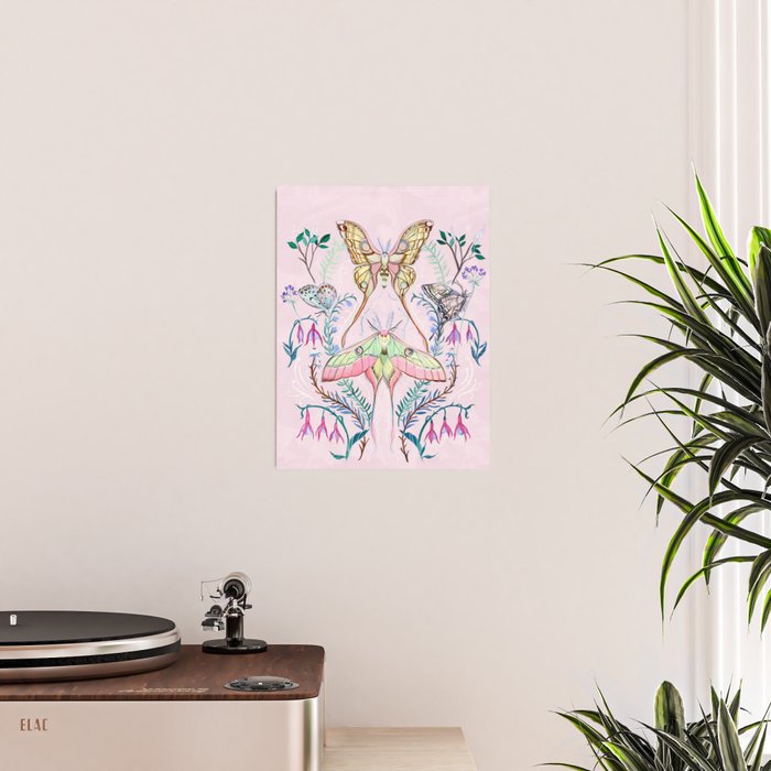 Chinese Moon Moth and Butterflies Poster Gallery Image 2