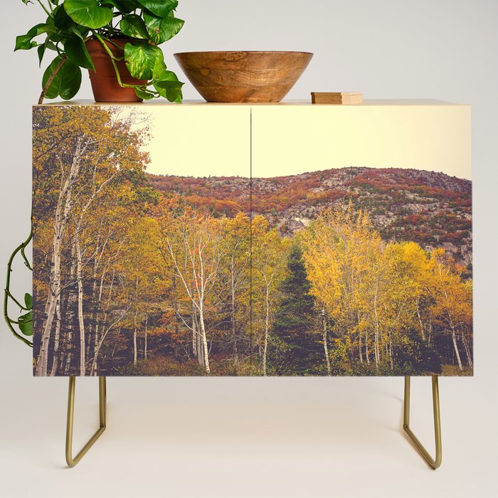 When Autumn Arrived Credenza Gallery Image 1